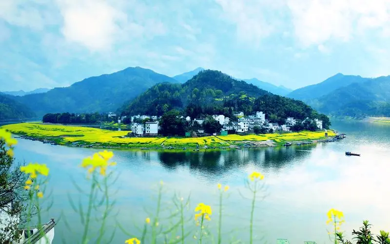 燃气热水器哪个牌子好
